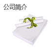 公司简介